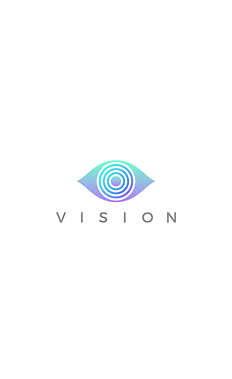Vision